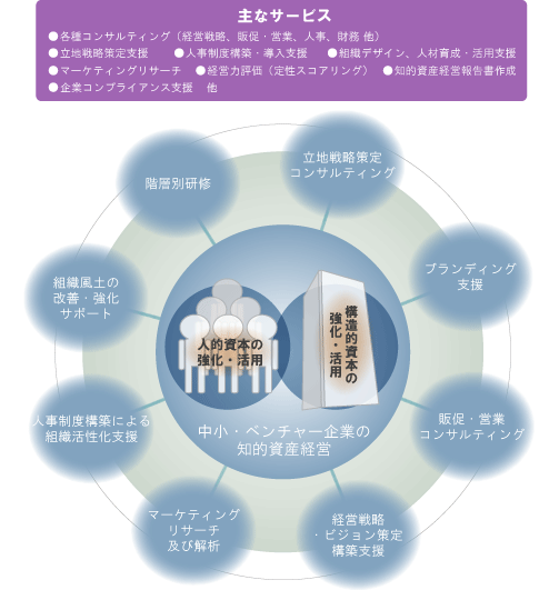知的資産経営が、中小・ベンチャー企業の知的資産経営実践をフルカバレッジでサポートする概念図